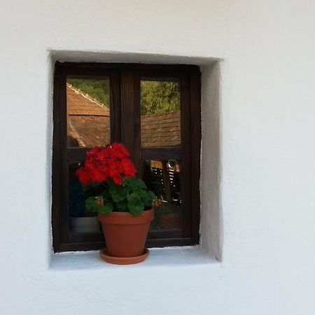 Zempleni Pitvaros Piheno Telkibánya Exterior foto